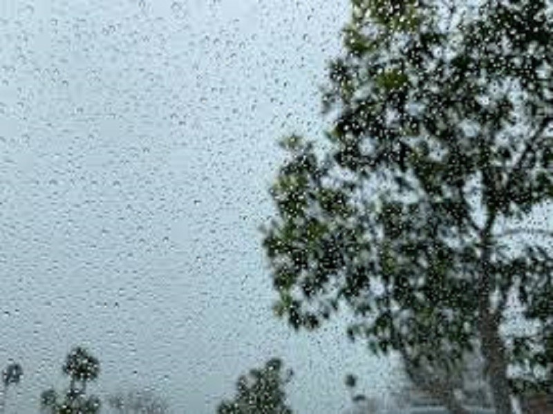 आजको मौसम : यी प्रदेशमा भारी वर्षाको सम्भावना