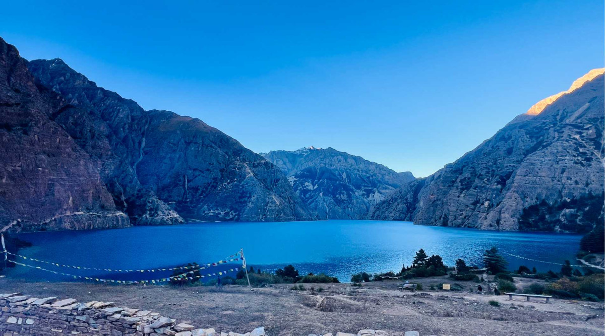 डोल्पा भित्रको विविधता